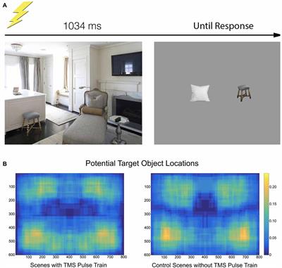Transcranial Magnetic Stimulation to the Occipital Place Area Biases Gaze During Scene Viewing